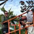 The Impact of Artists in Palm Beach County, FL: Building a Stronger Community